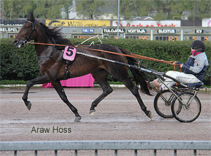 Araw Hoss