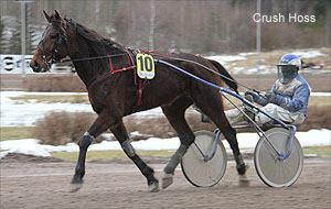 Crush Hoss