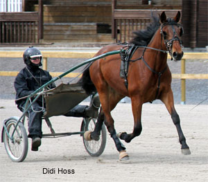 Didi Hoss