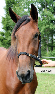 Didi Hoss