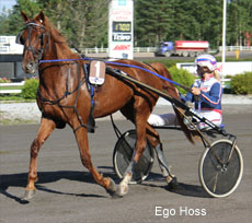 Ego Hoss