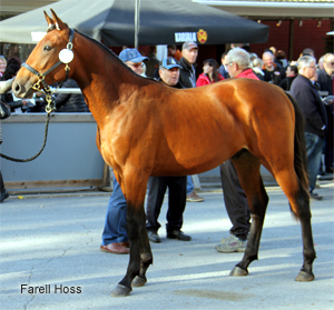 Farell Hoss