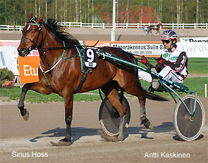 Sirius Hoss