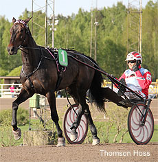 Thomson Hoss
