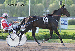 Thomson Hoss