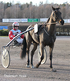 Thomson Hoss
