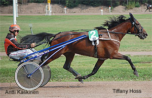 Tiffany Hoss