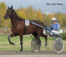 Ula Laa Hoss
