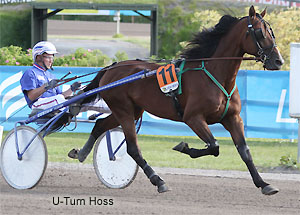 U-Turn Hoss