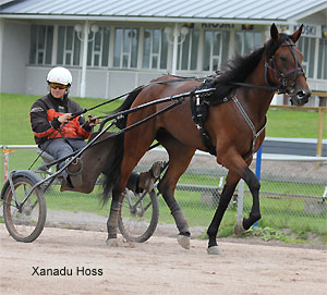 Xanadu Hoss