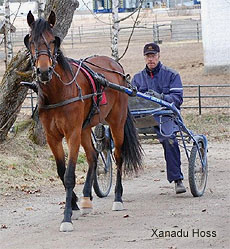 Xanadu Hoss