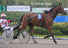 X-Treme Hoss