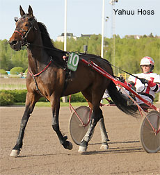 Yahuu Hoss