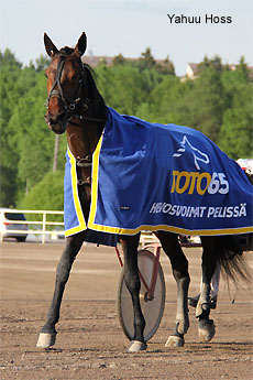 Yahuu Hoss