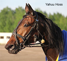 Yahuu Hoss