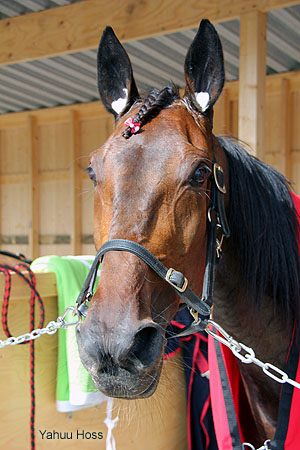 Yahuu Hoss