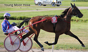 Young Moon Hoss