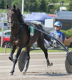 Zatopek Hoss