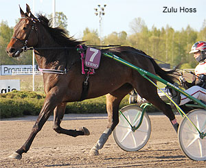 Zulu Hoss