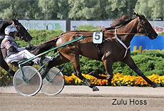 Zulu Hoss