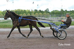 Zulu Hoss